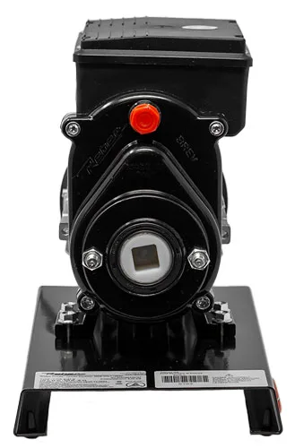 Electric Tomato Squeezer with 0.3 HP Motor