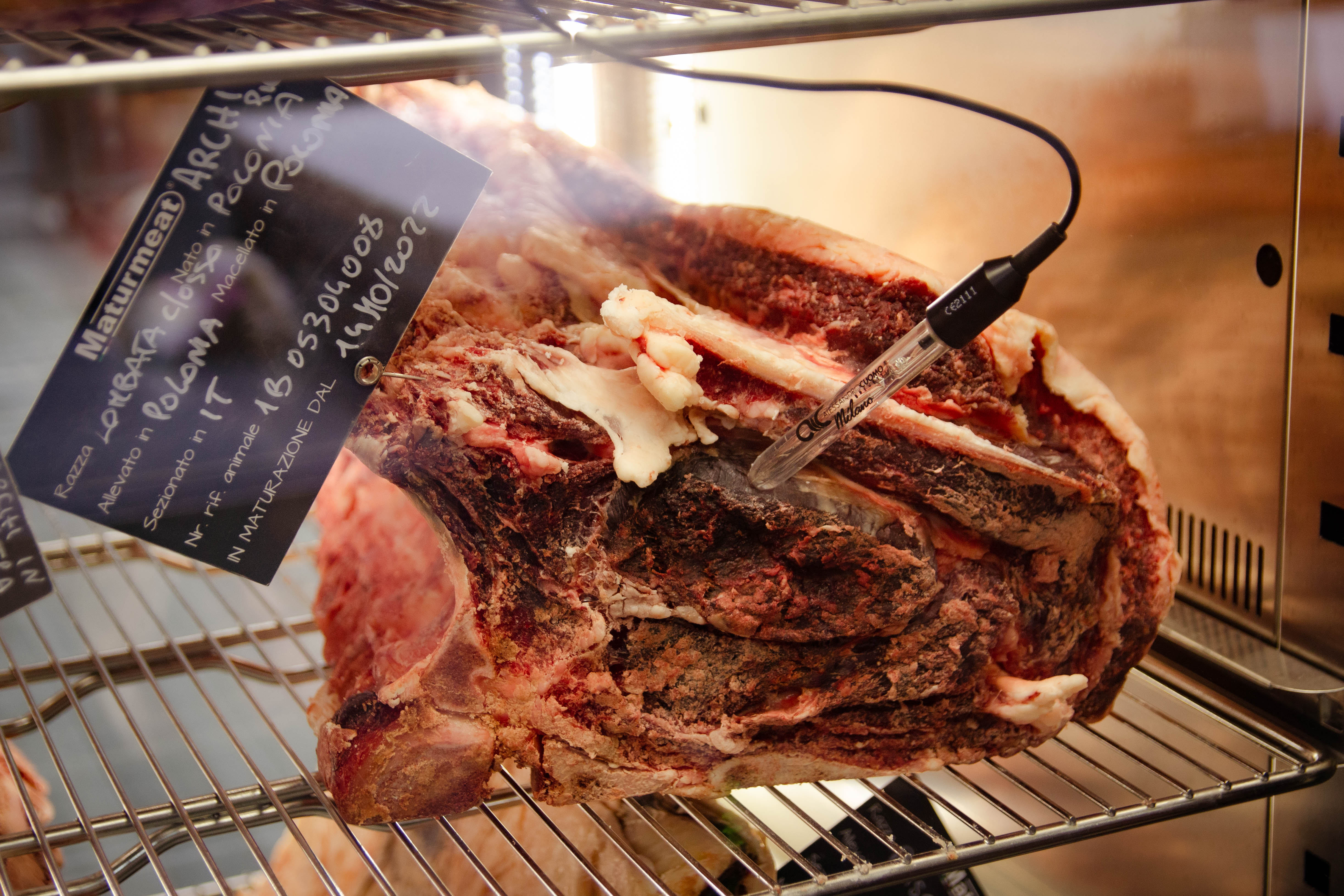 Stagionello® Maturmeat® 330 lb (150 kg) Meat Curing Cabinet 4.0 with ClimaTouch® and Fumotic®