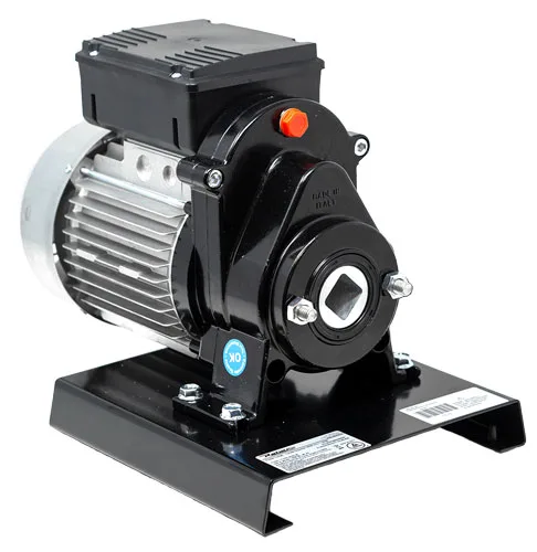 Electric Tomato Squeezer with 0.8 HP Motor