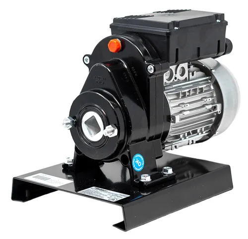 Electric Tomato Squeezer with 0.4 HP Motor
