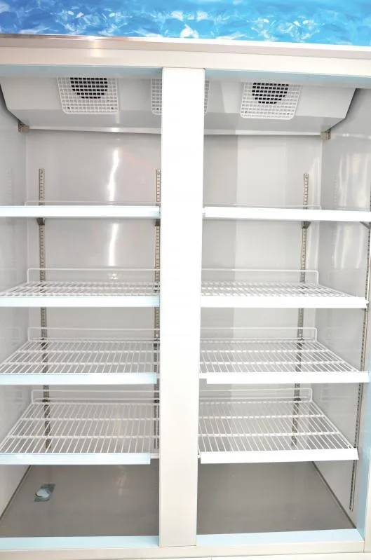 49″ Two (2) Glass Door Display Freezer, 29 cu. ft. (821 L), White