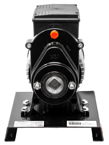 Electric Tomato Squeezer with 0.8 HP Motor